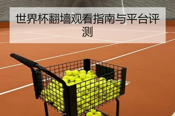 世界杯翻墙观看指南与平台评测