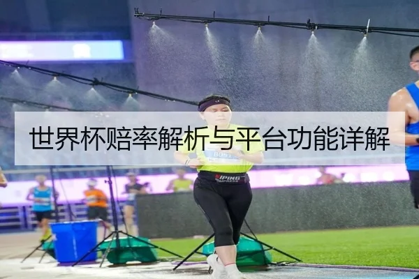 世界杯赔率解析与平台功能详解