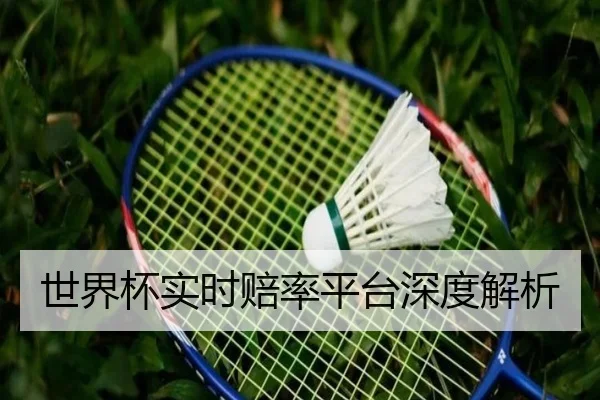 世界杯实时赔率平台深度解析