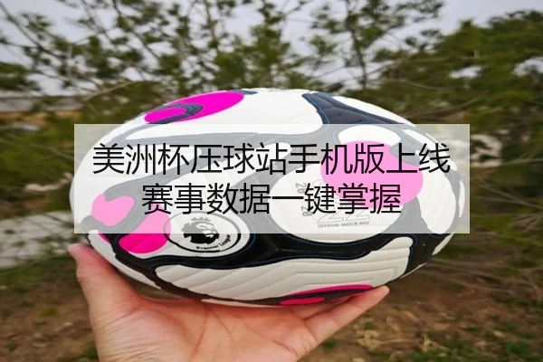 美洲杯压球站手机版上线 赛事数据一键掌握