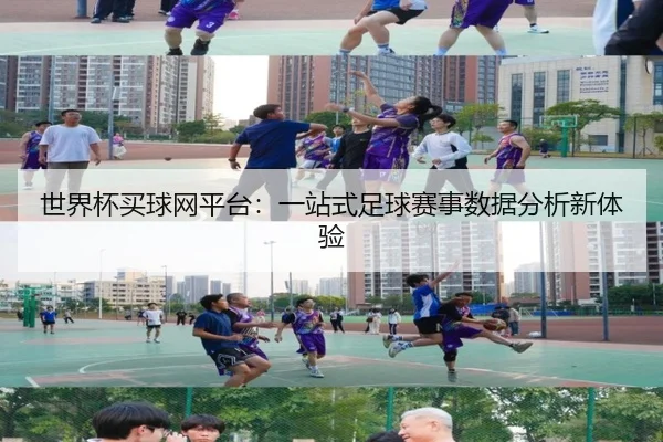 世界杯买球网平台：一站式足球赛事数据分析新体验