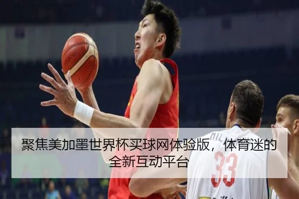 聚焦美加墨世界杯买球网体验版，体育迷的全新互动平台